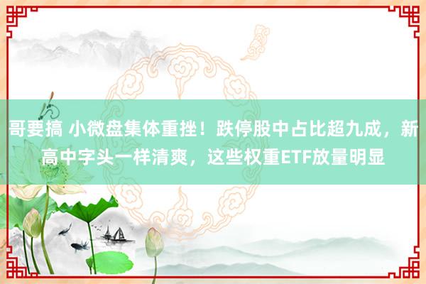哥要搞 小微盘集体重挫！跌停股中占比超九成，新高中字头一样清爽，这些权重ETF放量明显