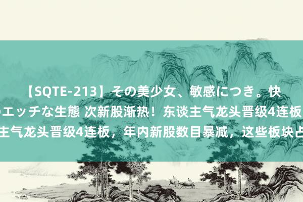 【SQTE-213】その美少女、敏感につき。快感が止まらない女の子のエッチな生態 次新股渐热！东谈主气龙头晋级4连板，年内新股数目暴减，这些板块占比仍高