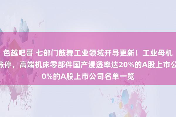 色越吧哥 七部门鼓舞工业领域开导更新！工业母机龙头30CM涨停，高端机床零部件国产浸透率达20%的A股上市公司名单一览