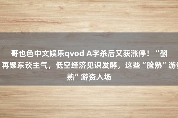 哥也色中文娱乐qvod A字杀后又获涨停！“翻倍牛”再聚东谈主气，低空经济见识发酵，这些“脸熟”游资入场