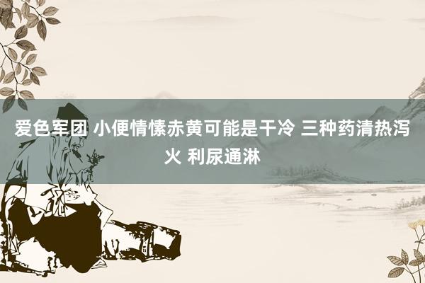 爱色军团 小便情愫赤黄可能是干冷 三种药清热泻火 利尿通淋
