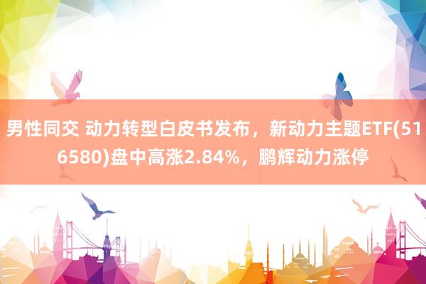男性同交 动力转型白皮书发布，新动力主题ETF(516580)盘中高涨2.84%，鹏辉动力涨停