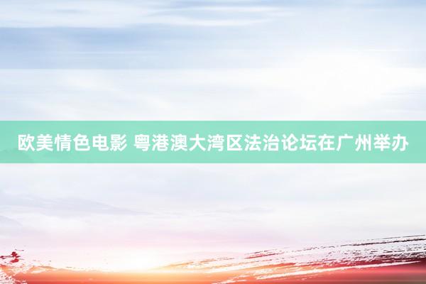 欧美情色电影 粤港澳大湾区法治论坛在广州举办