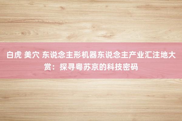 白虎 美穴 东说念主形机器东说念主产业汇注地大赏：探寻粤苏京的科技密码