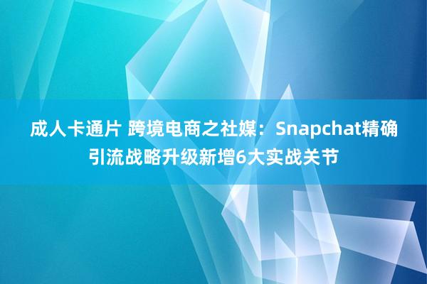 成人卡通片 跨境电商之社媒：Snapchat精确引流战略升级新增6大实战关节