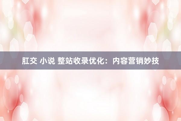 肛交 小说 整站收录优化：内容营销妙技