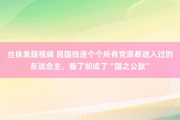 丝袜美腿视频 民国独逐个个所有党派都进入过的东说念主，临了却成了“国之公敌”