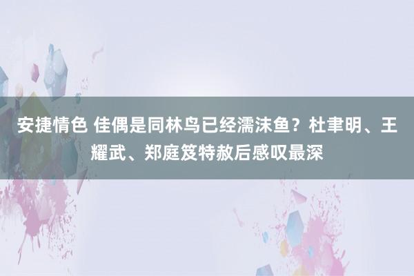 安捷情色 佳偶是同林鸟已经濡沫鱼？杜聿明、王耀武、郑庭笈特赦后感叹最深