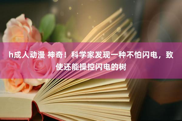 h成人动漫 神奇！科学家发现一种不怕闪电，致使还能操控闪电的树
