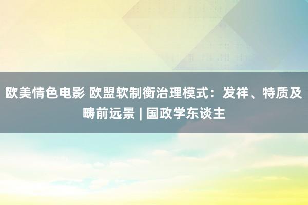 欧美情色电影 欧盟软制衡治理模式：发祥、特质及畴前远景 | 国政学东谈主
