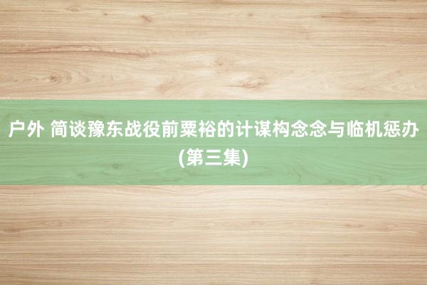 户外 简谈豫东战役前粟裕的计谋构念念与临机惩办(第三集)