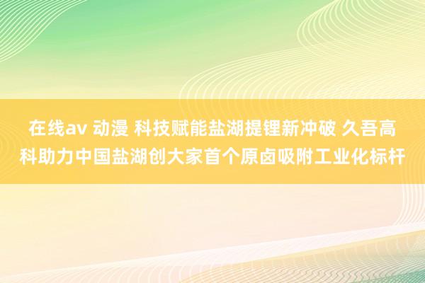 在线av 动漫 科技赋能盐湖提锂新冲破 久吾高科助力中国盐湖创大家首个原卤吸附工业化标杆