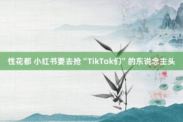 性花都 小红书要去抢“TikTok们”的东说念主头