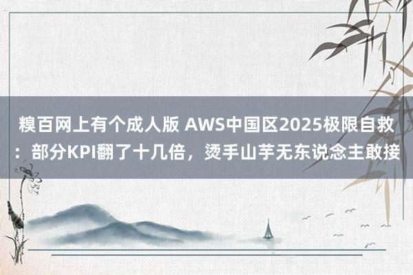 糗百网上有个成人版 AWS中国区2025极限自救：部分KPI翻了十几倍，烫手山芋无东说念主敢接