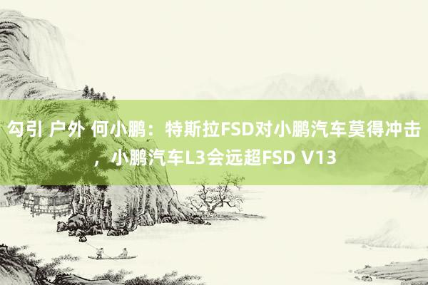 勾引 户外 何小鹏：特斯拉FSD对小鹏汽车莫得冲击，小鹏汽车L3会远超FSD V13