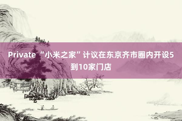 Private “小米之家”计议在东京齐市圈内开设5到10家门店